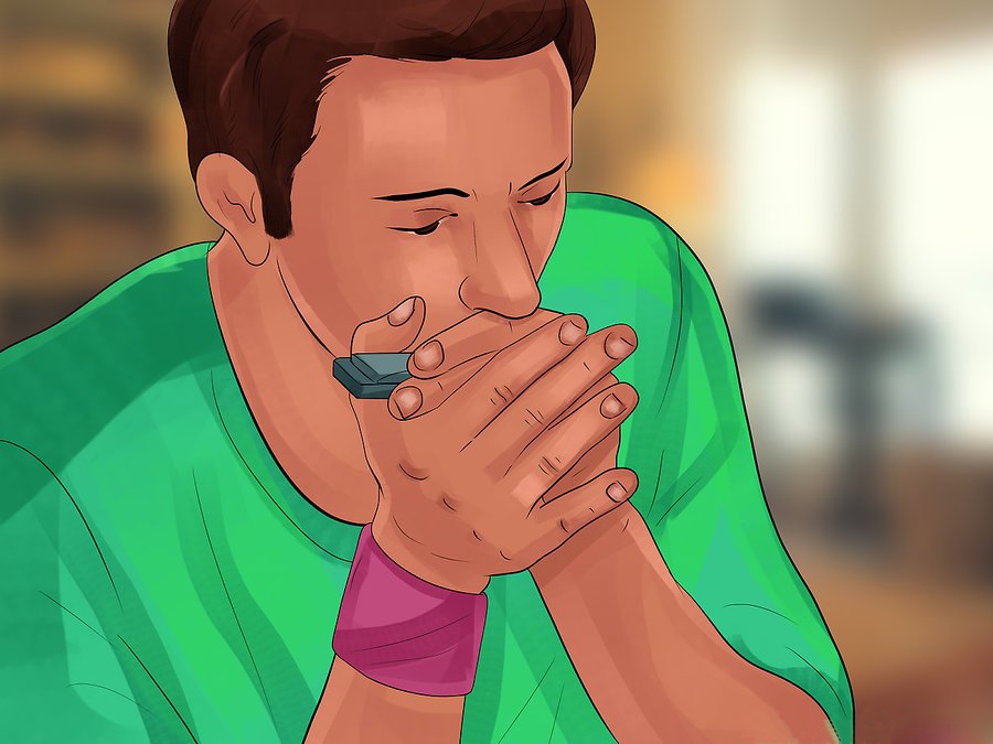 How to hold Harmonica - Holding Your Harmonica step 8