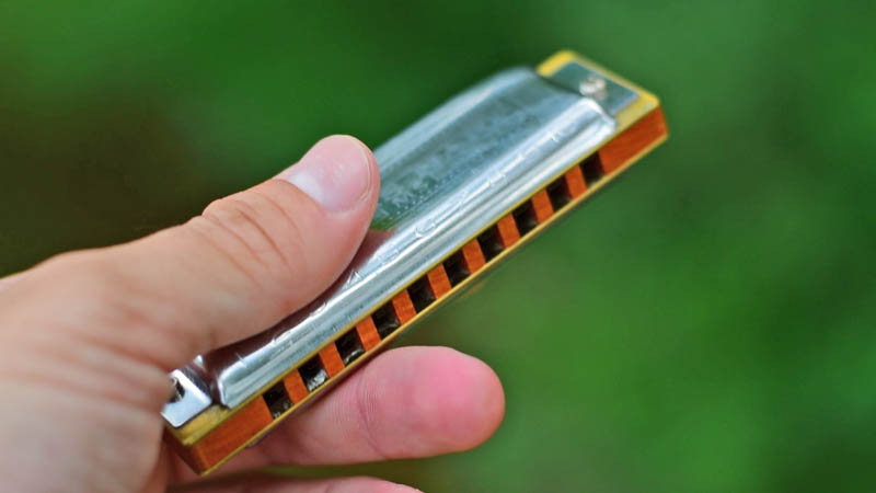 How many types of harmonicas are there?