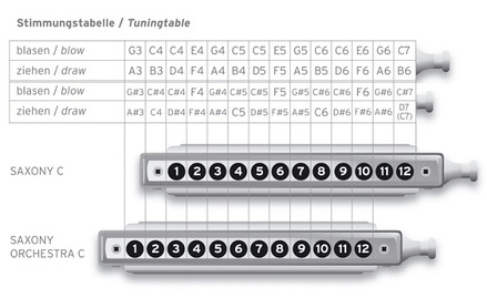 Chromatic Harmonica Buying Guide